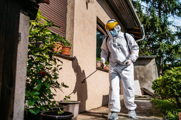 Best Termite Control Services  in East Mountain, TX