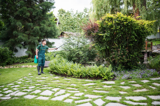 Wasp Removal Services in East Mountain, TX