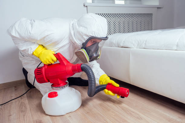 Best Commercial Pest Control Services  in East Mountain, TX