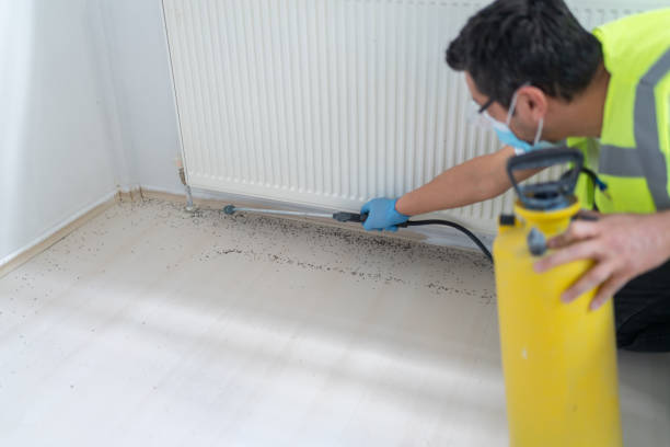 Best Affordable Pest Control Services  in East Mountain, TX