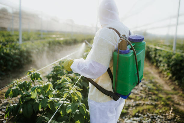Best Rat Extermination Near Me  in East Mountain, TX